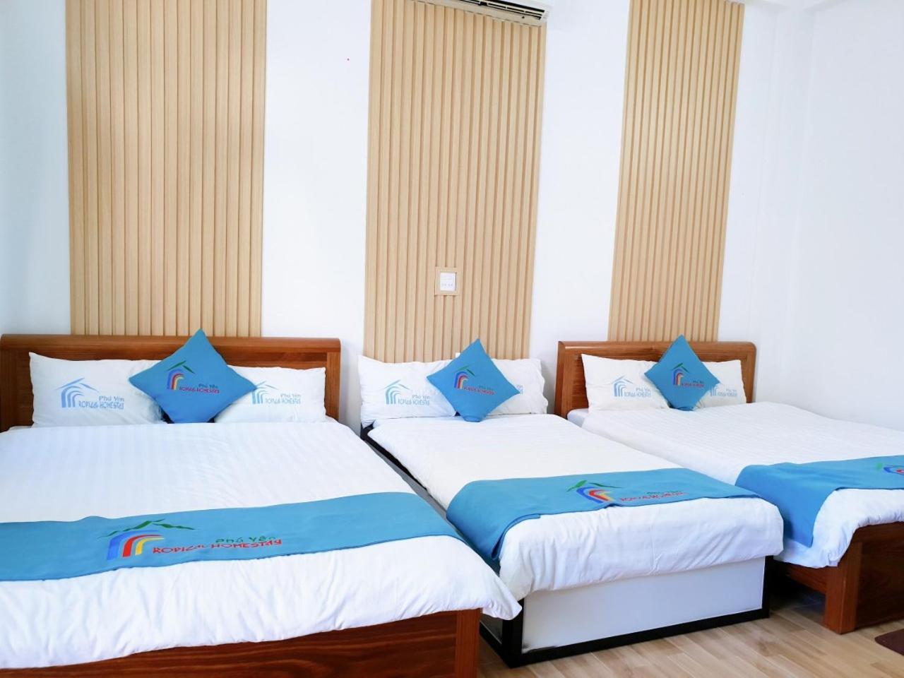 Tropical Homestay Phu Yen Tuy Hoa Bilik gambar